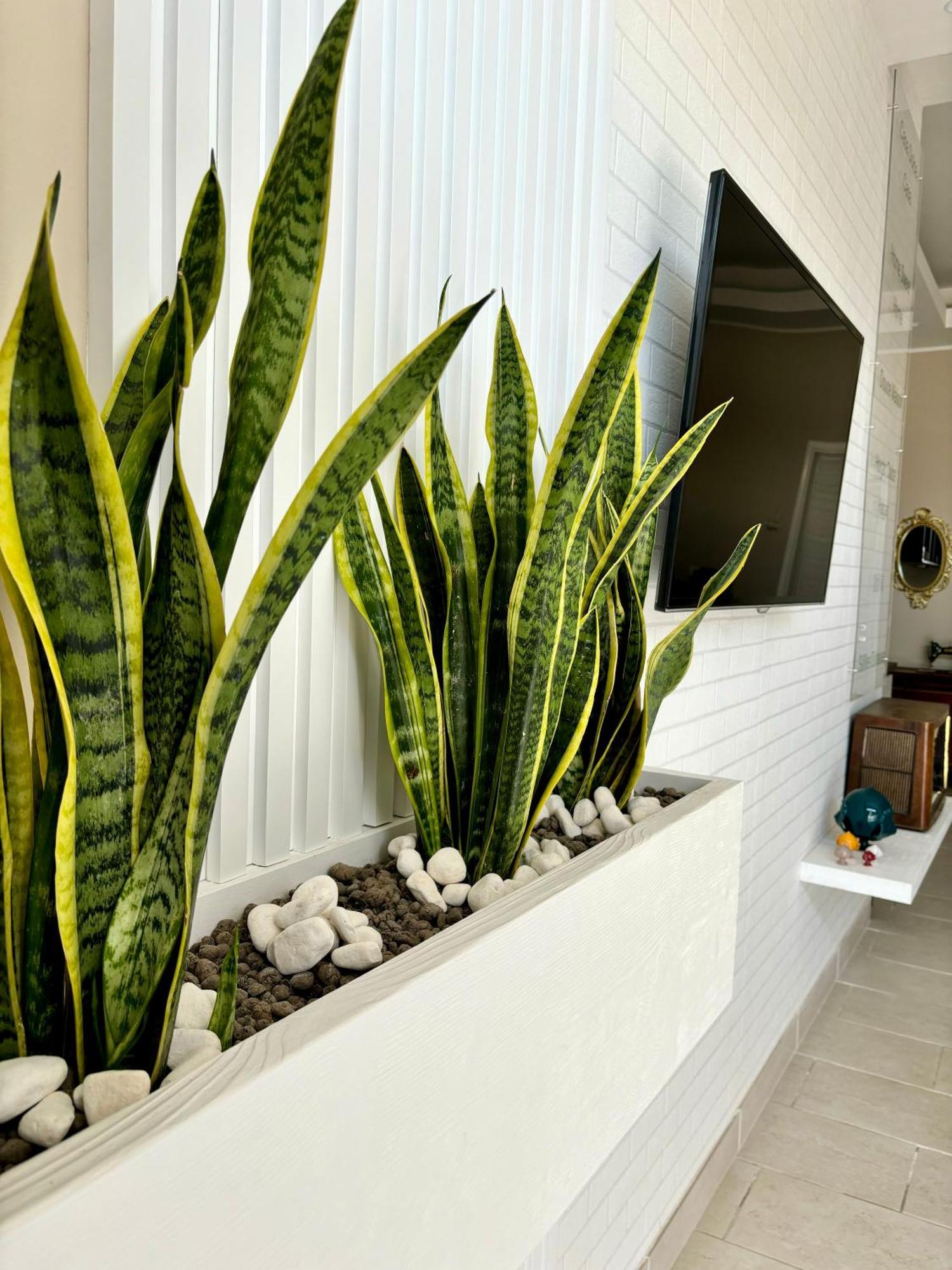 B&B Casa Dolce Casa 나르도 외부 사진